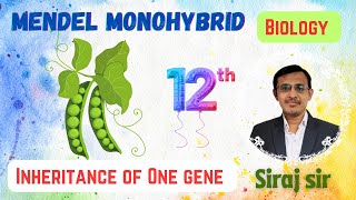 Inheritance of One geneMendel monohybrid ratioAlleles Test cross Class 12SciFlix345 [upl. by Atsok]