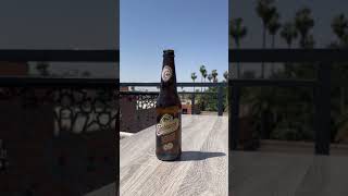 Marrakech  Alcohol With A View [upl. by Sucramd]