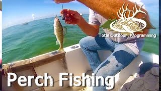 How to catch Perch on Lake Erie fishing with TOP [upl. by Enitsuj]