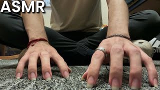 ASMR Carpet Scratching Fast amp Slow  No Talking [upl. by Naget]