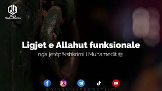 Ligjet e Allahut funksionale nga jetëpërshkrimi i Muhamedit ﷺ  Hoxhë Rexhep Memishi [upl. by Adnohs]