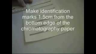 Chromatographic Separation of Amino Acids [upl. by Armelda]