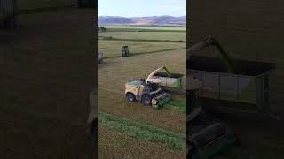 KRONE BiG X – gras harvesting in South Africa [upl. by Nnelg705]