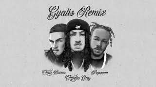 Capella Grey feat Chris Brown amp Popcaan  Gyalis REMIX [upl. by Nallak]