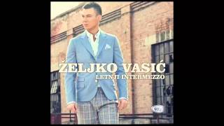 Zeljko Vasic  Zeljo moja jedina  Audio 2013 HD [upl. by Ytsirhc]