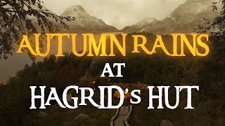 Harry Potter  Rainy Days at Hagrids Hut Ambience amp Music [upl. by Yekim]