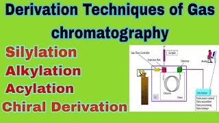 Derivatization techniques of gas chromatography ll B pharm 7th sem ll part2 ll In hindi [upl. by Drarehs]