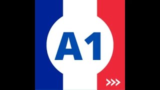 Leçon de français n°25 A1 Parler de sa vie [upl. by Adnama]