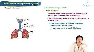 Development of respiratory system  Embryology Lecture [upl. by Suirtemid1]