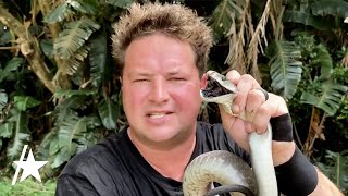 Dingo Dinkelman YouTube Reptile Handler Dead After Snake Bite [upl. by Aerdma]