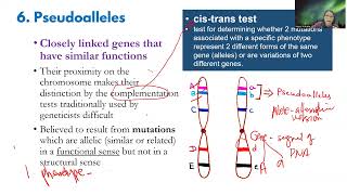 Variations in Phenotypic Ratios Pseudoalleles Part 3 of 3 [upl. by Gnilrits567]