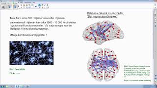 Nervsystemet  översikt del 2 av 2 [upl. by Lectra]