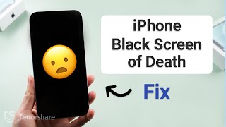 My iPhone Screen is Black But Still Works  Black Screen of Death 3 Ways [upl. by Benedick]