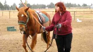 How to Lunge a Horse to Prepare for Riding [upl. by Lyrehc]