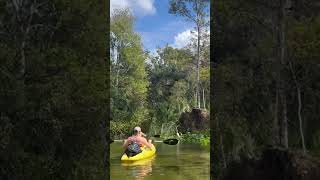 Kings Landing FLORIDA kingslanding florida nature wildlife kayaking [upl. by Llewxam]