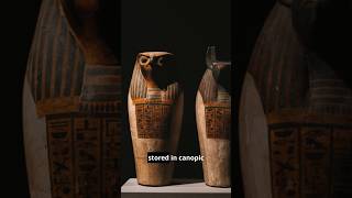 How mummies were made facts shortsfeed shortsvideo shortvideo shorts short [upl. by Fronniah]