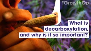 What is decarboxylation and why is it so important  Weed Easy [upl. by Yehus]