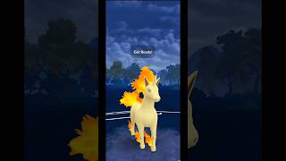 Rapidash vs Azumarill🔥Pokemon go pokemongo jinfreecspok JINFREECSPOK [upl. by Annadal]