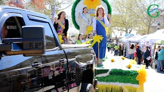 Daffodil Festival 2024 parade [upl. by Ennaeilsel355]