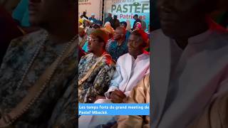 Les temps forts du Grand meeting de Pastef Mbackésonkomooydiomaye sénégal2050 senegambia pastef [upl. by Ramedlav]