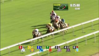 National Day Race Meeting 2016 AMAZING KIDS wins National Day Cup 2016 [upl. by Kissie]