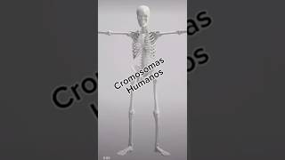 cromosomas medicinauy biology medicina [upl. by Neal]