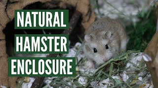 How to make a Natural Hamster Enclosure [upl. by Milo292]