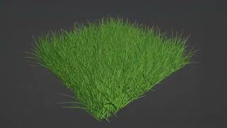 Realistic Grass Animation in Blender Geometry Nodes using Noise Textures [upl. by Sayres48]