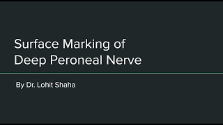 Surface Marking of Deep Peroneal Nerve [upl. by Ennalyrehc]