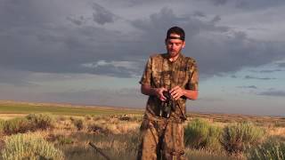 COYOTE hunting  Summer DIRT NAPS  Coyote Assassins  Episode 11 [upl. by Hansel]