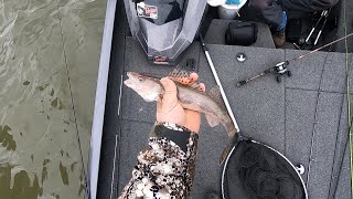 Sauger Fishing in the Ohio River [upl. by Grote102]