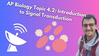 42 Introduction to Signal Transduction  AP Biology [upl. by Annaerb]