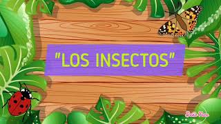 CARACTERÍSTICAS DE LOS INSECTOS PARA NIÑOS [upl. by Llenyaj]