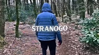 STRANOGO  YTP FLOW BASS BOOSTEDEARRAPE [upl. by Valentina]