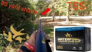 Apex waterfowl TSS pattern test with Muller Choke [upl. by Shute43]