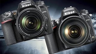 Nikon D750 vs Nikon D7500 High ISO Performance [upl. by Elspet]