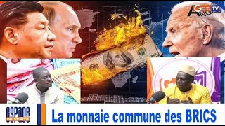 urgent La monnaie commune des BRICS [upl. by Ecerahs]