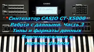 Синтезатор CASIO CTX5000 Работа с данными Часть 3 Типы и форматы данных Перенос файлов [upl. by Cimbura]