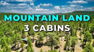 Mountain Land for Sale with 3 Cabins in New Mexico • LANDIO [upl. by Pack907]