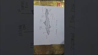 Easy diagram of scoliodonfishdogfish dogfish scoliodon fishaquaculture diagramoffish shorts [upl. by Reppep944]