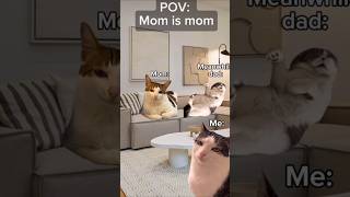 Cats mom shorts catmemes cat memescat memes [upl. by Nabe]