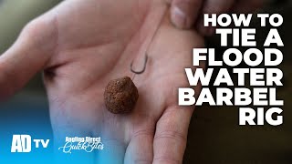 How To Tie A Flood Water Barbel Rig  Specialist Fishing Quickbite [upl. by Hama841]