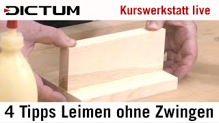 4 Tipps zum Leimen ohne Zwingen  DICTUM Kurswerkstatt Live Tutorial [upl. by Hillel]