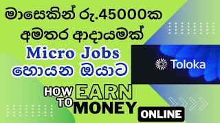 Micro Jobs SinhalaHow To Earn With Toloka website E Money Sinhala [upl. by Jariv]