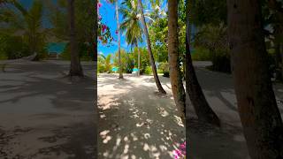 Maldives  Living the Dream  Beach villa room tour Sheraton full moon resort shorts [upl. by Demp]