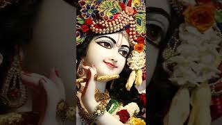 Jai shree Radhe Krishna sanvariyakardobedapaar 🙏❤️🙏🤗 [upl. by Yesnek]