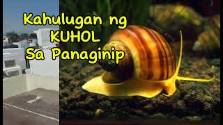 KAHULUGAN NG KUHOL SA PANAGINIP [upl. by Publias]