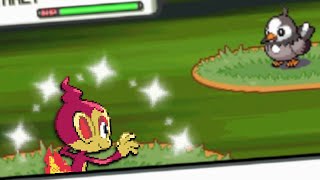 Shiny Chimchar after ONLY 94 soft resets in Pokemon Diamond [upl. by Antonie]