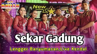 Sekar Gadung  Lenggerran  New Arista Music  Banjarnegara  Live 🔴 Kendal [upl. by Afaw]