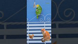 Cantando con los amigos 😜 Loro Cabeza Amarilla Shorts animals parrot humor loro [upl. by Vashtia]